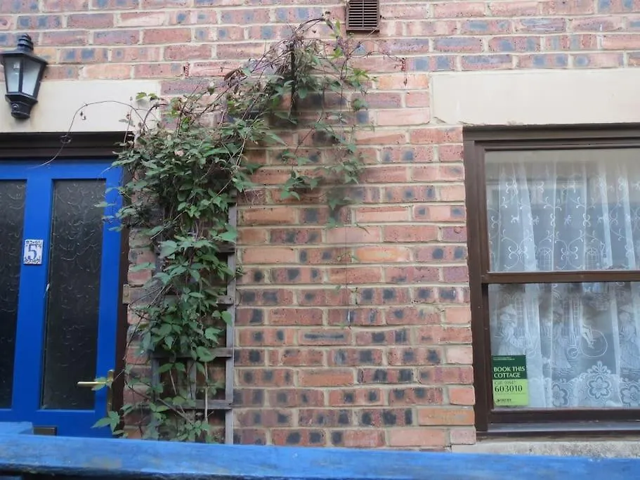 Haven Cosy Cottage Whitby 0*,  United Kingdom